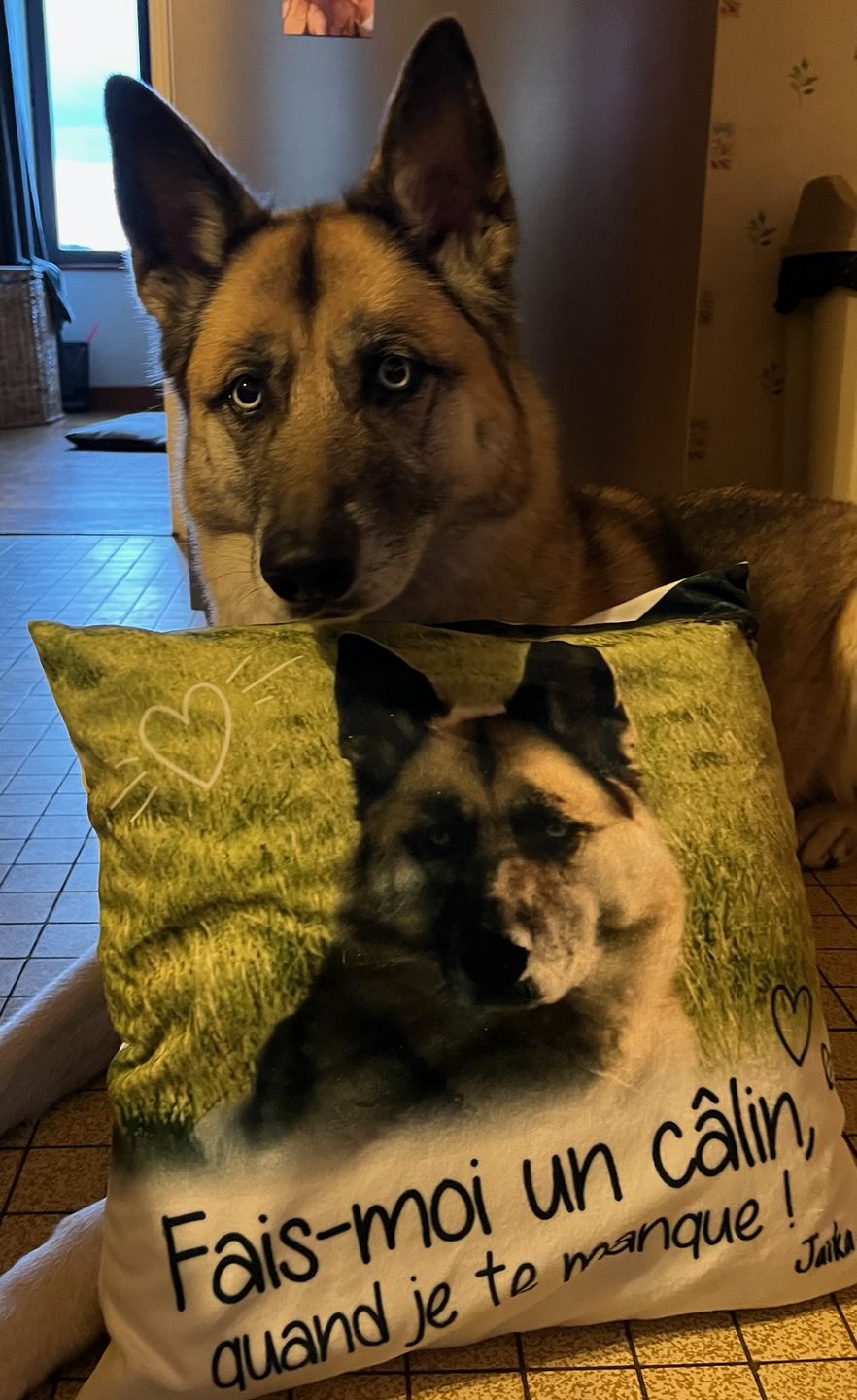 Customer photo review of Fais moi un câlin quand je te manque - Coussin personnalisé