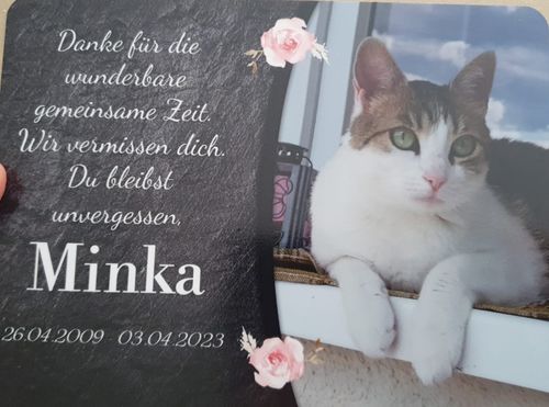 Customer photo review of Katzen Gedenktafel mit Foto & Spruch