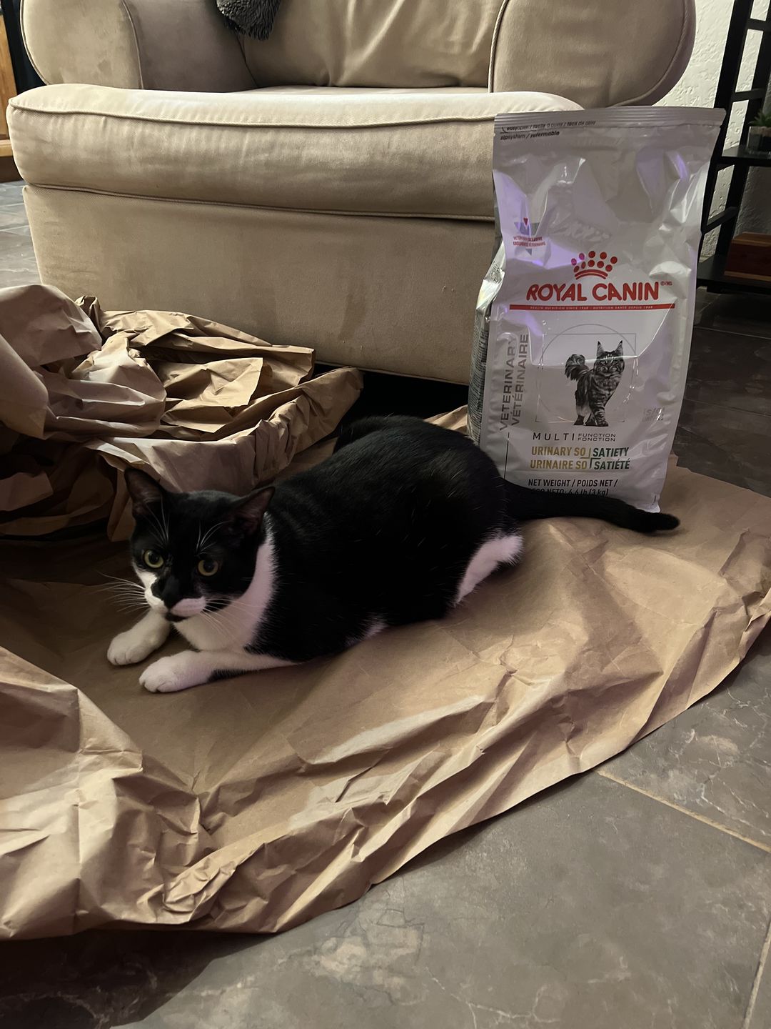 Customer photo review of Royal Canin Veterinary Diet - Urinary SO+ Satiety Dry Cat Food