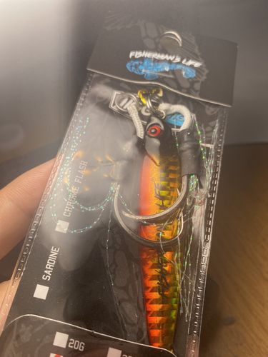 Customer photo review of Fisherman's Life® Jiggy Jigs 20g, 30g, 40g 50g (Four Color Variations)