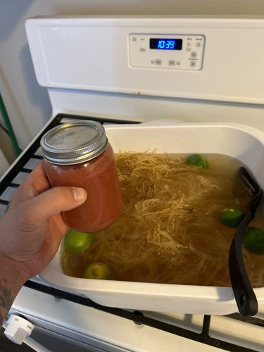 Customer photo review of Raw St Lucia Gold Sea Moss