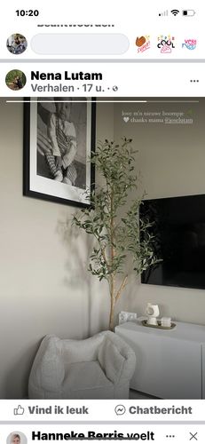 Customer photo review of Kunst Olijfboom 170cm
