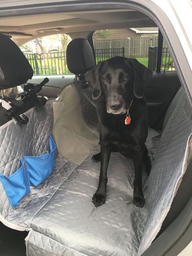 Customer photo review of Waterproof Non-Slip Car Seat Hammock Cover With Pockets, Side Flaps, Headrest Straps, Seat-Anchors, & Mesh Window (+FREE SAFETY BELT!)