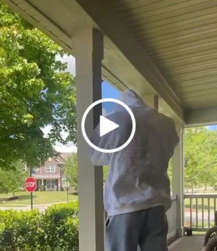 Customer video review of Praying Rabbit Hoodie (White/Lavender)