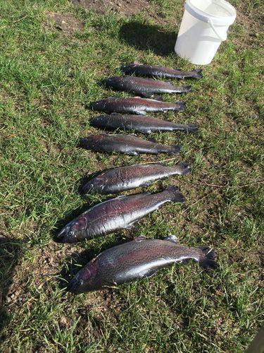 Customer photo review of 2g Smart Fishing Float