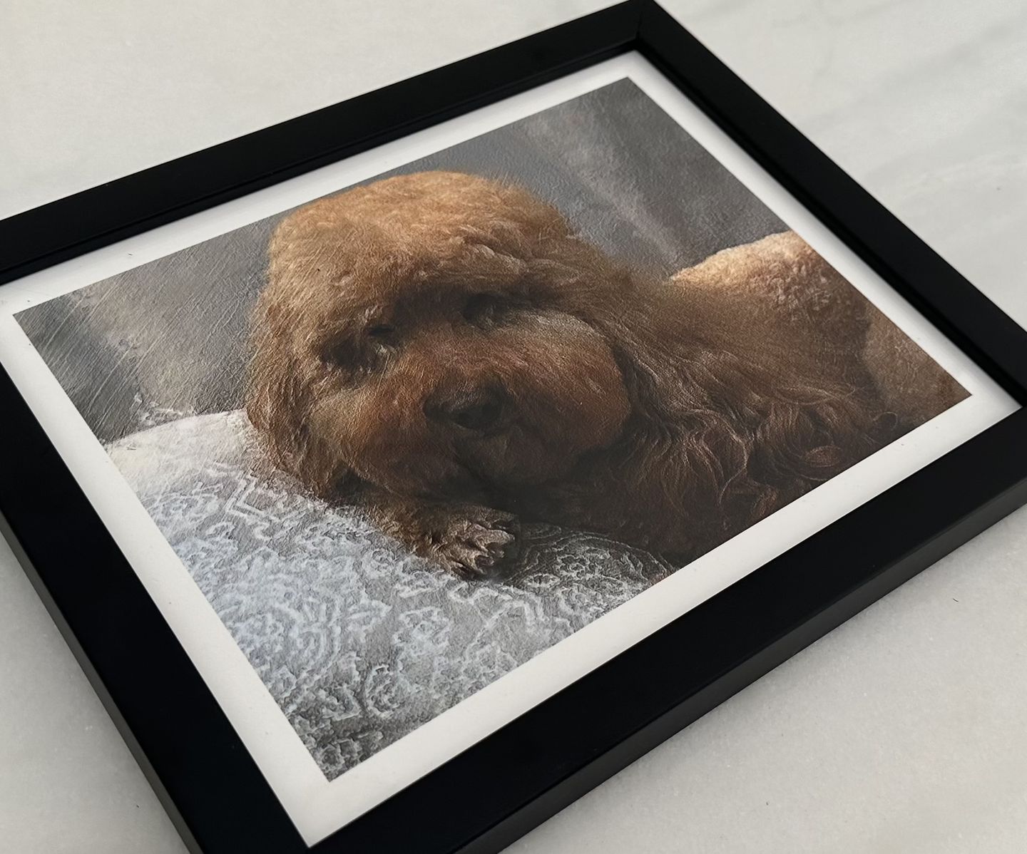 Customer photo review of Custom Pet Portrait