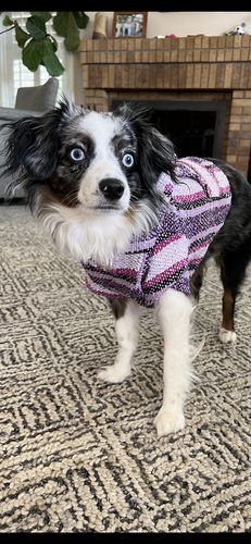 Customer photo review of Playa Poncho - Surprise Color