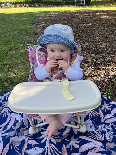 Customer photo review of Paloma baby chair v2