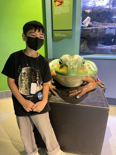 Customer photo review of [ 2023 MARCH OFFER ] EVER FRESH Kids KF94 Mask (Black & White, S Size)