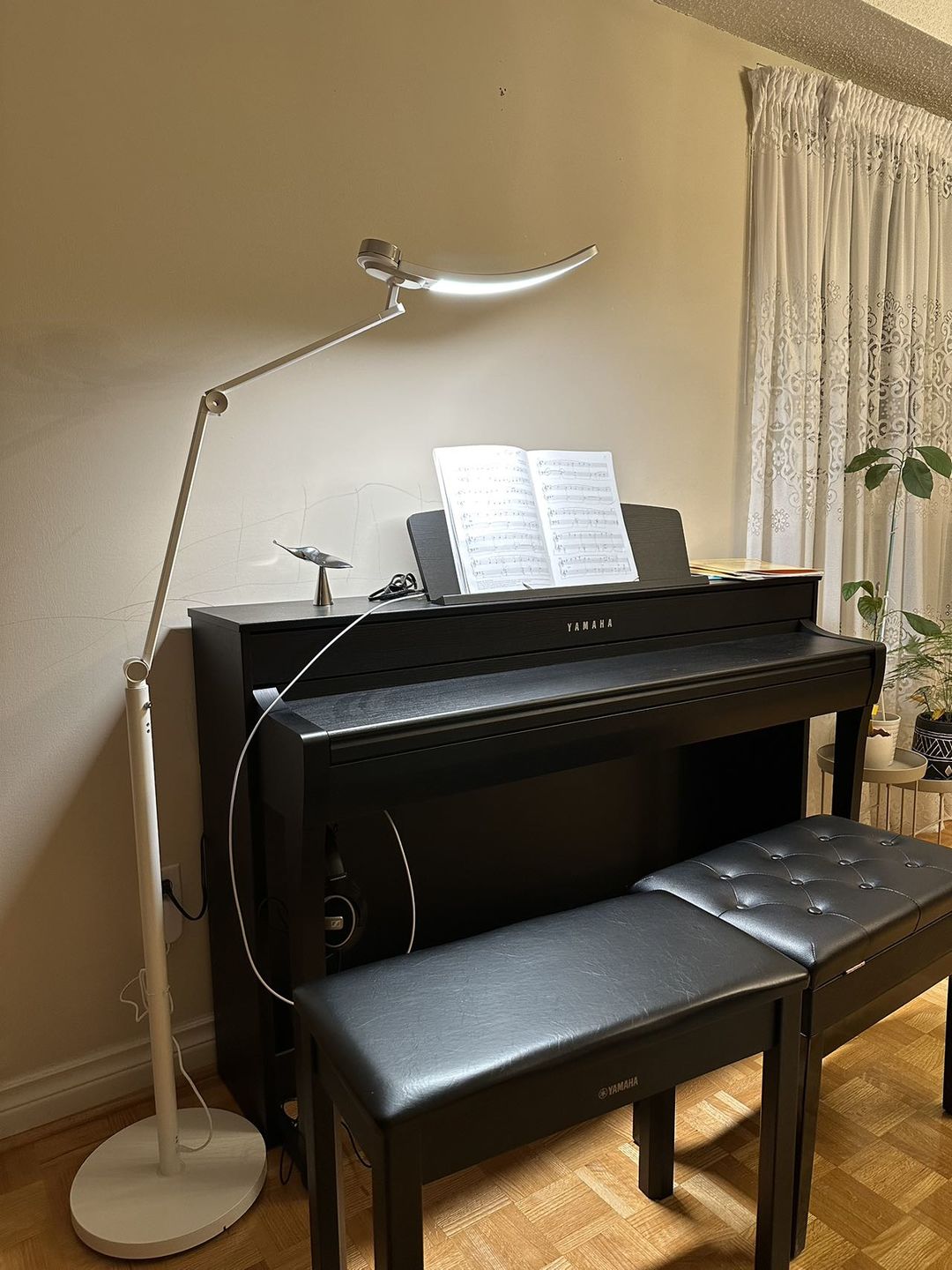 Customer photo review of Happy Nocnoc Led Reading Floor Lamp (US and CA Only)