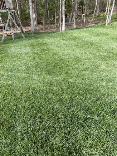 Customer photo review of Azoxystrobin 2SC