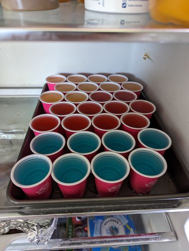 Customer photo review of Blue Rasp Summer Sesh Pack