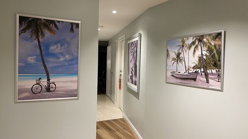 Customer photo review of Shady Bicycle