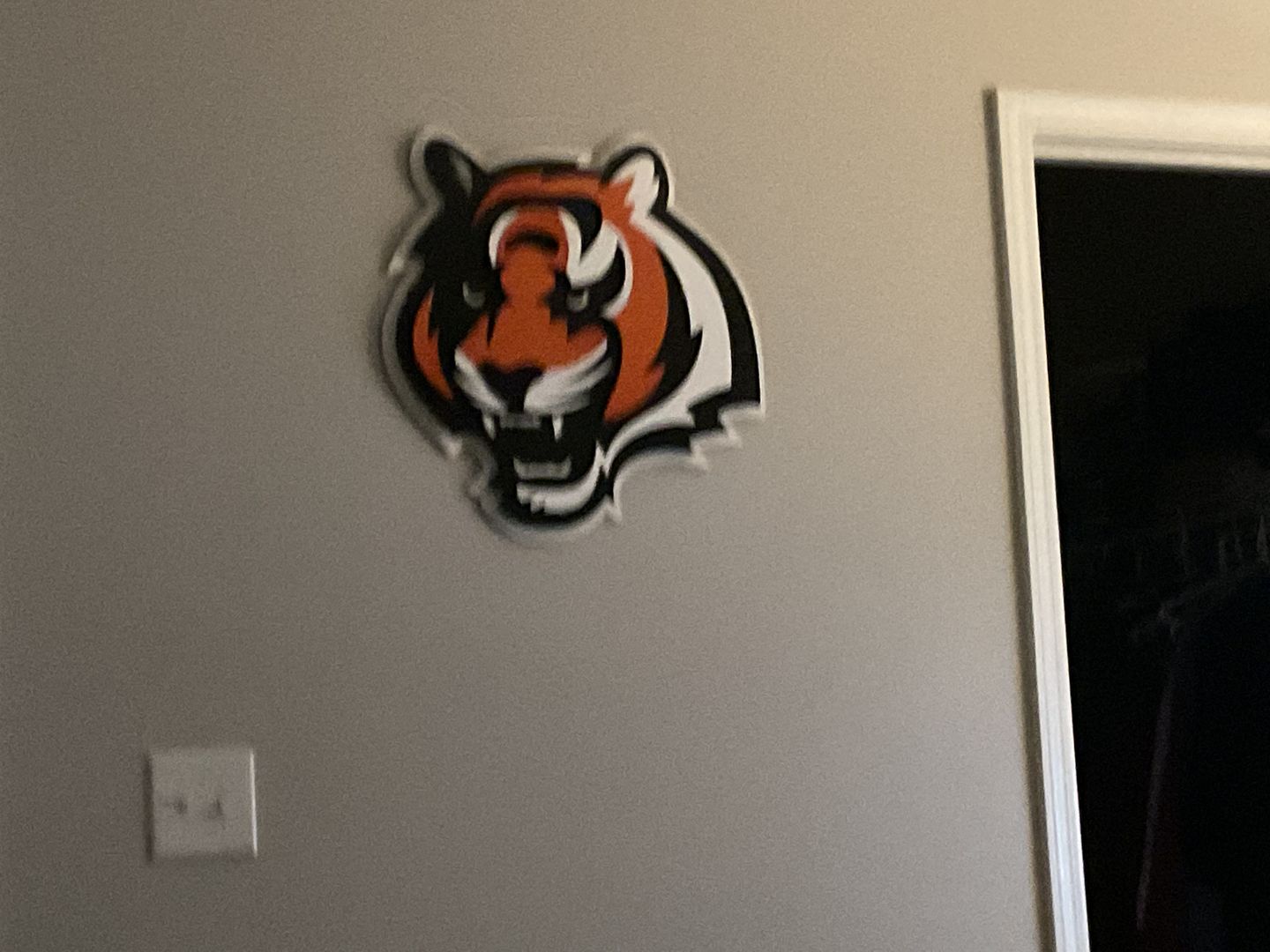 Customer photo review of Cincinnati Bengals "Tiger Mascot" 3D Vintage Metal Wall Art