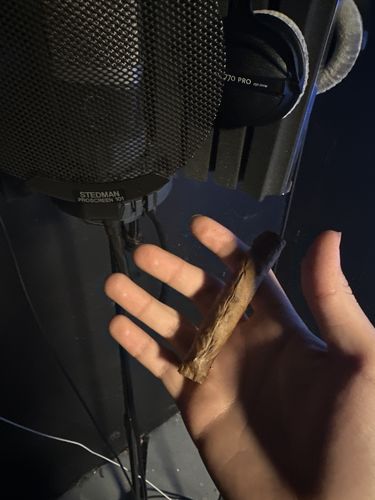 Customer photo review of Banana Dream LooseLeaf (40 Count)