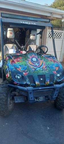 Customer photo review of Yamaha Rhino Graphics