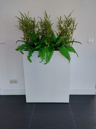 Customer photo review of Bamboe Kunstplant 60cm