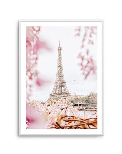 Customer photo review of Eiffel Vista Art Print