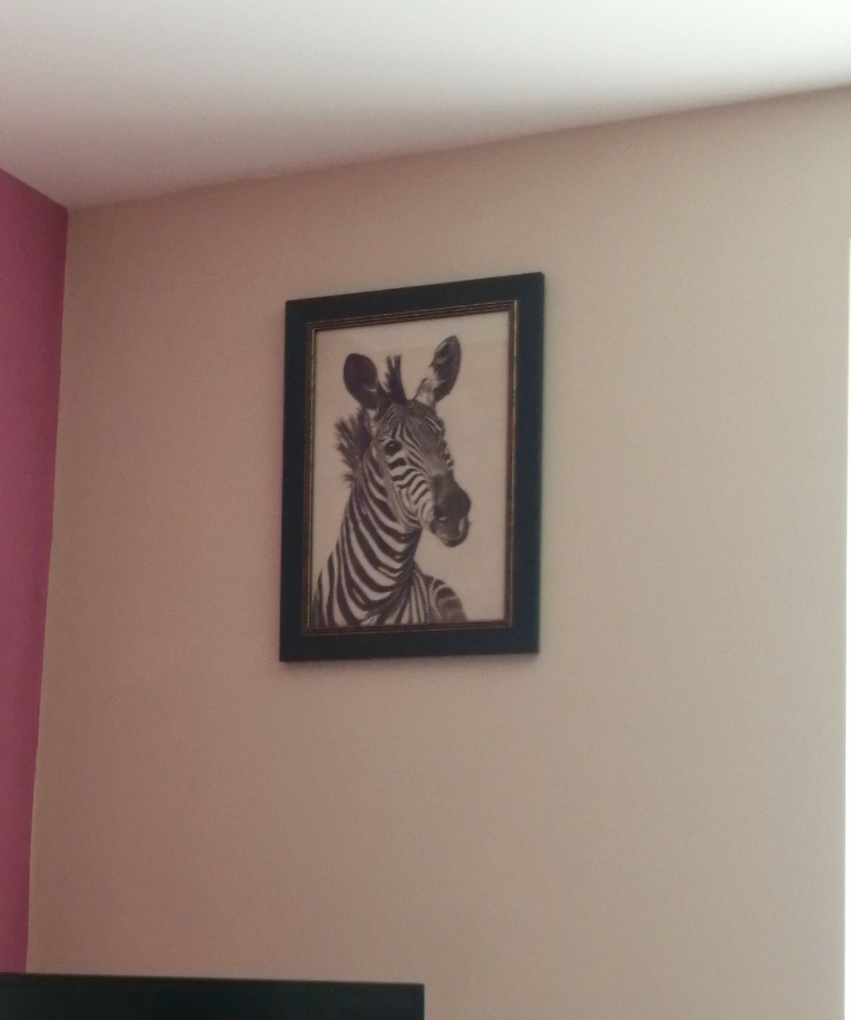Customer photo review of ZEBRA ILUSTRATION