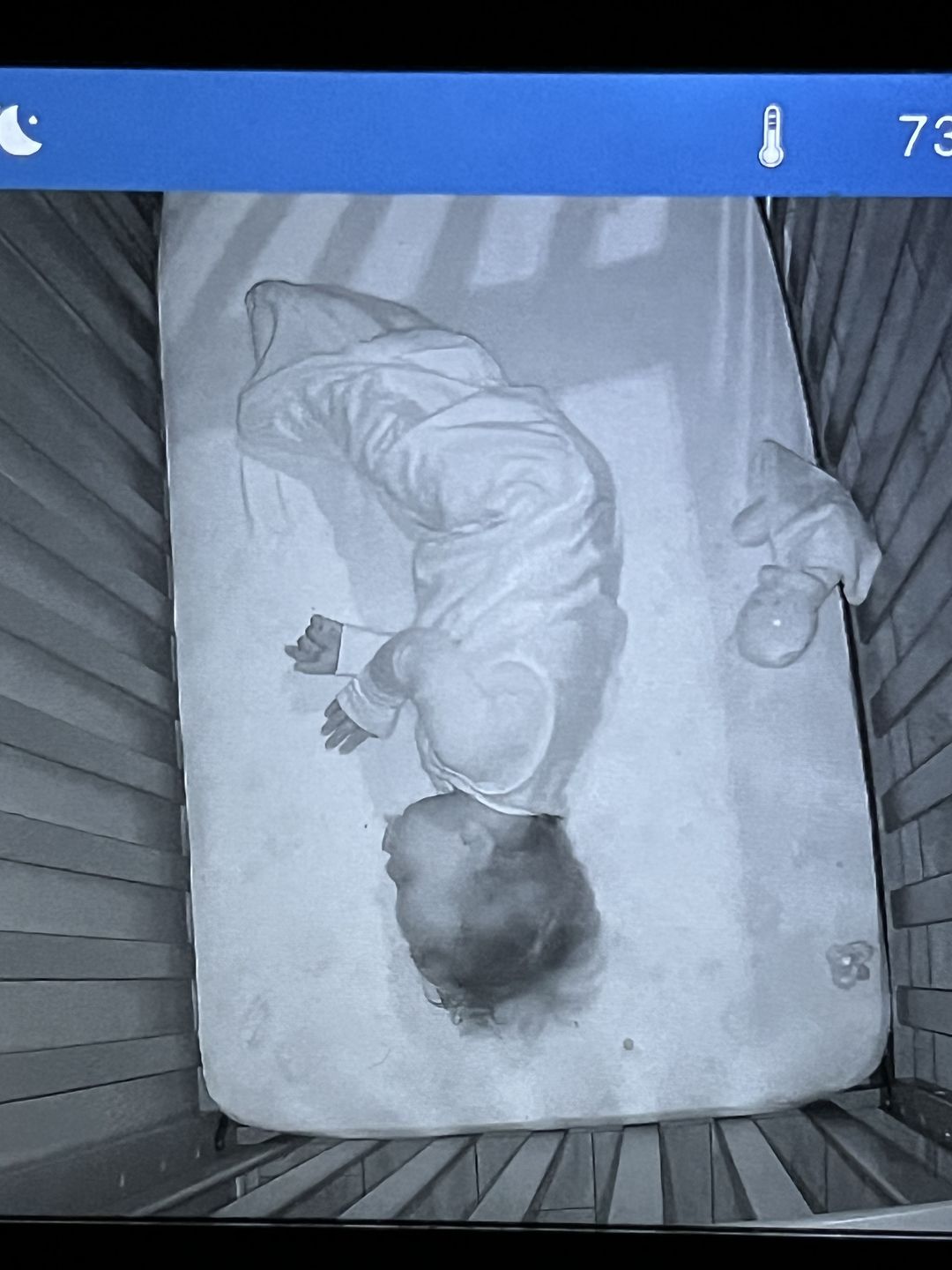 Customer photo review of Ecolino® Organic Cotton Classic Baby Sleep Bag or Sack, Deep Blue