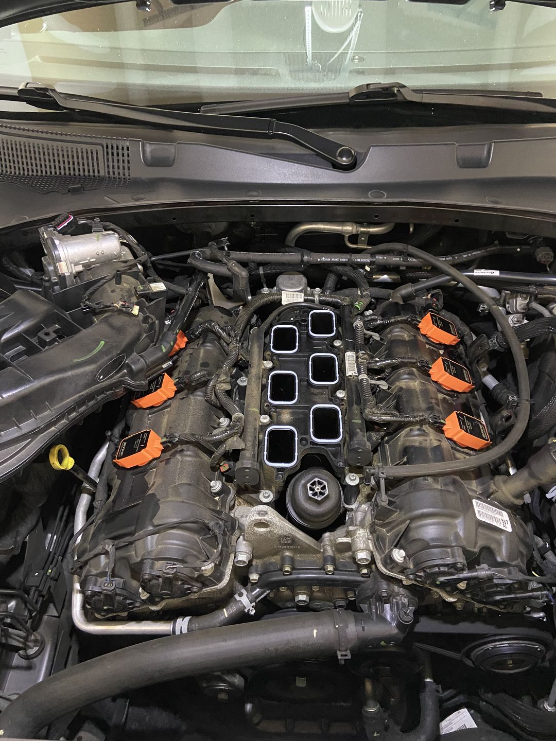 Customer photo review of RIPP High Performance Coil Packs