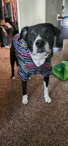 Customer photo review of Playa Poncho - Surprise Color