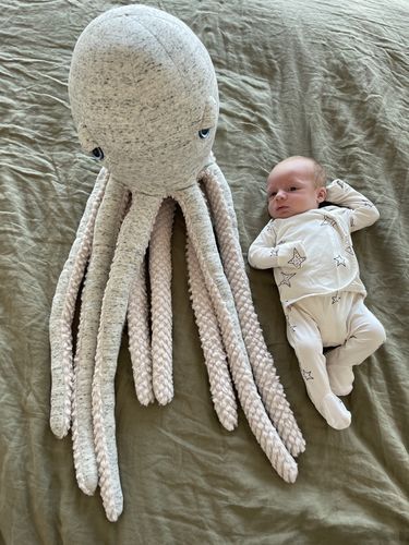 Customer photo review of The Octopus