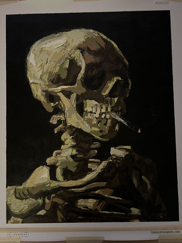 Customer photo review of Van Gogh’s Skeleton Smoking - Paint by Numbers