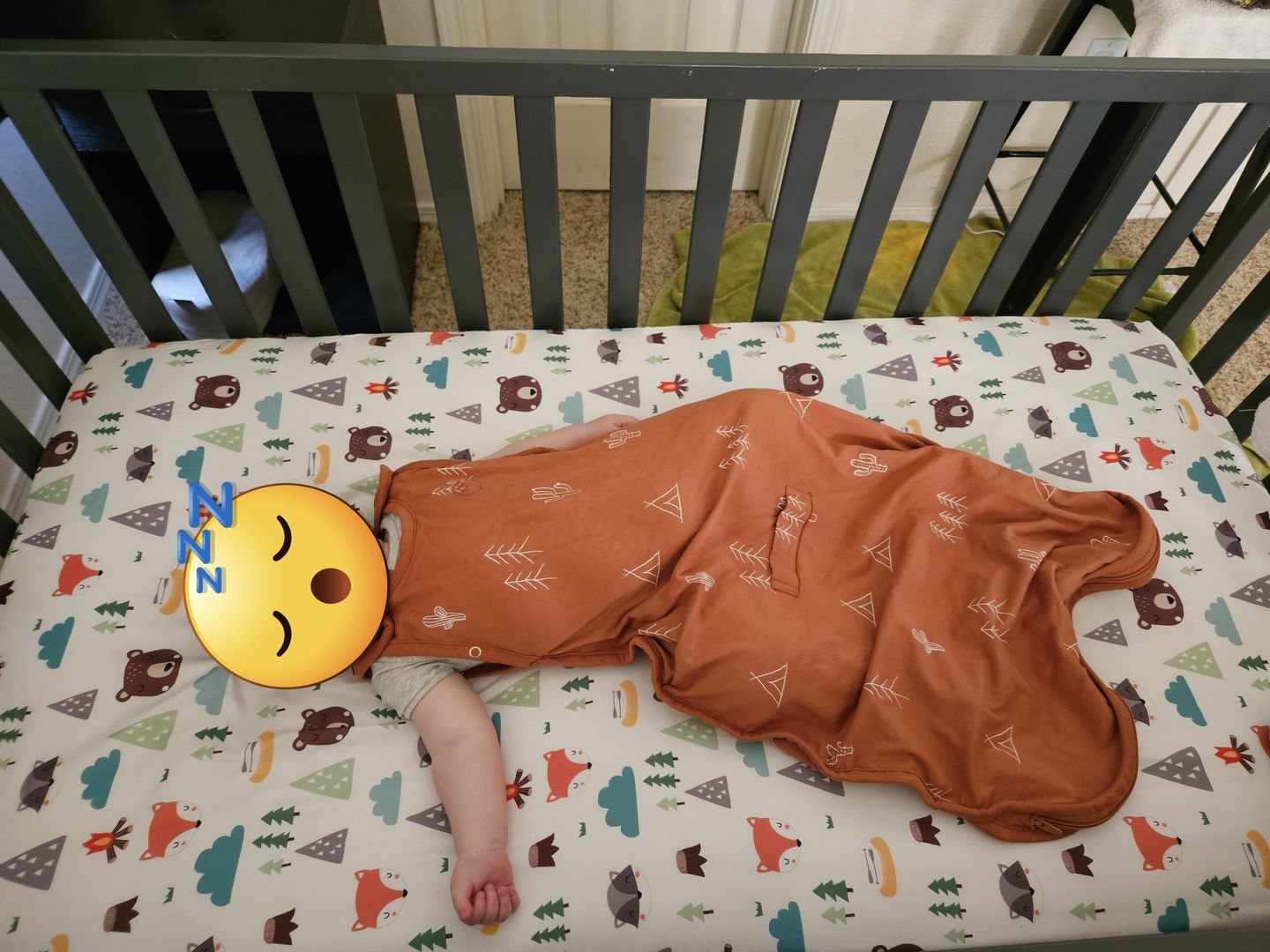 Customer photo review of Ecolino® Adjustable Baby Sleep Bag, 100% Organic Cotton, Universal Size: 2 Months - 2 Years, Triangle