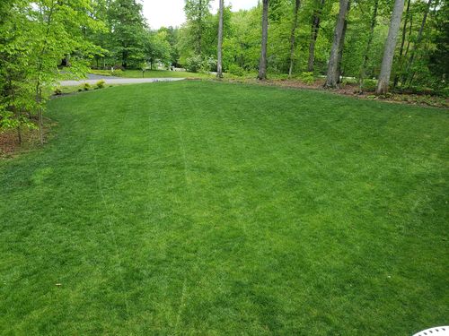 Customer photo review of Flowzone Cyclone 2.5