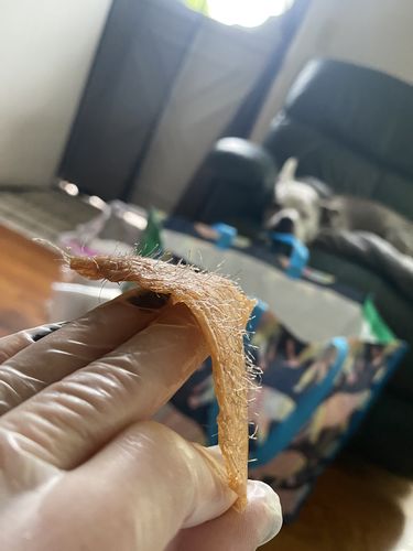 Customer photo review of Professional | Hard Wax | 5LB & Up