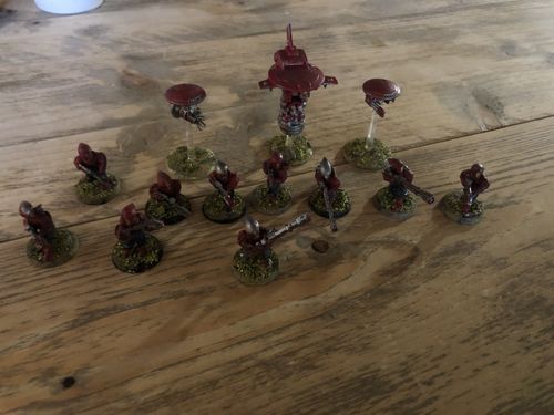 Customer photo review of Tau Empire Pathfinder Team