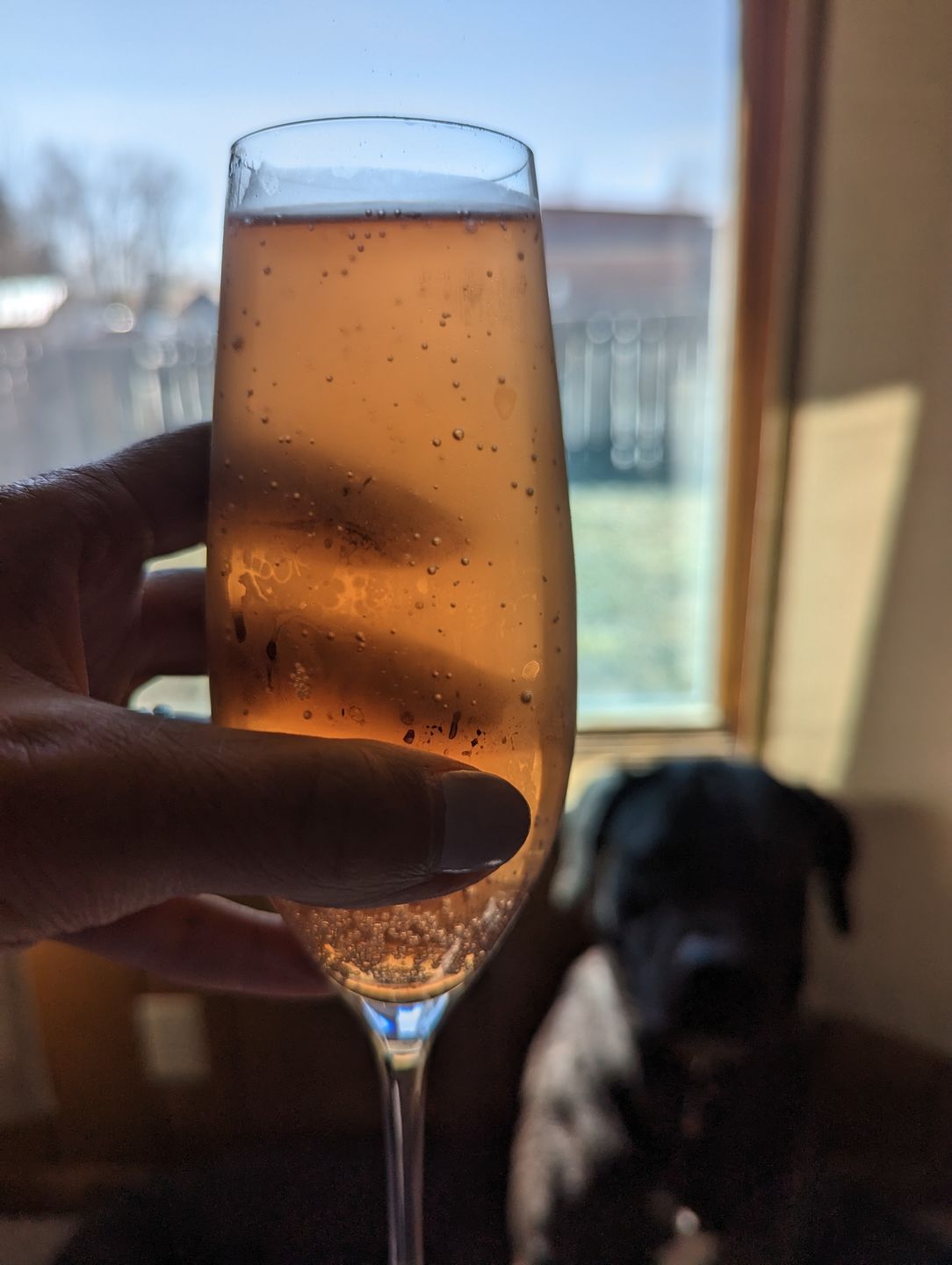 Customer photo review of Non-Alcoholic Sparkling Rosé Can 4-Pack