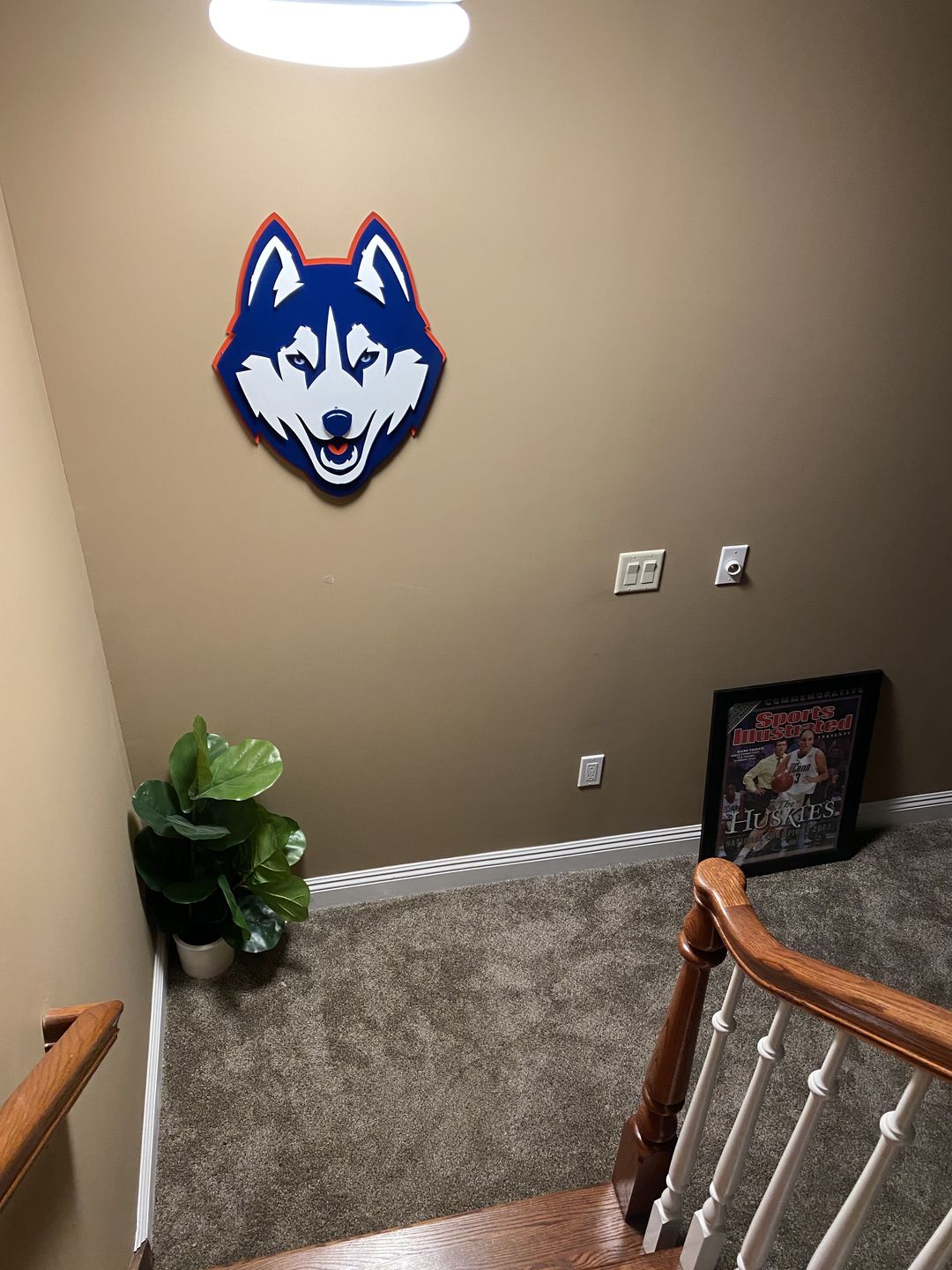 Customer photo review of Connecticut UCONN Huskies Mascot 3D Metal Wall Art