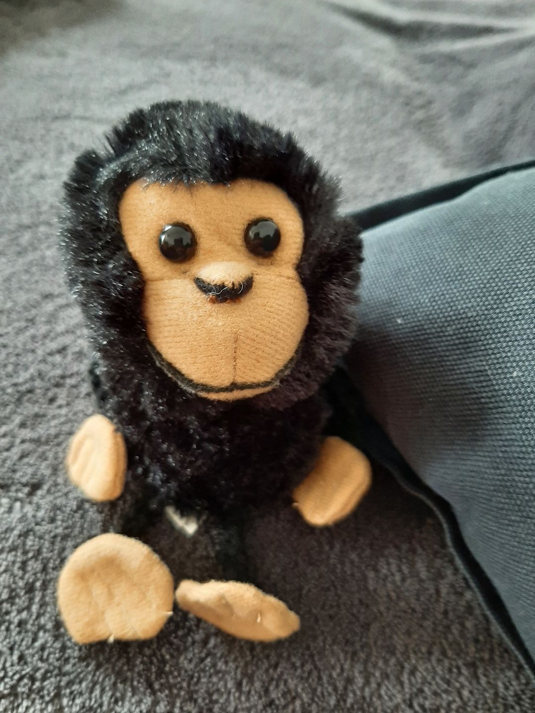 Customer photo review of Singe Marionnette