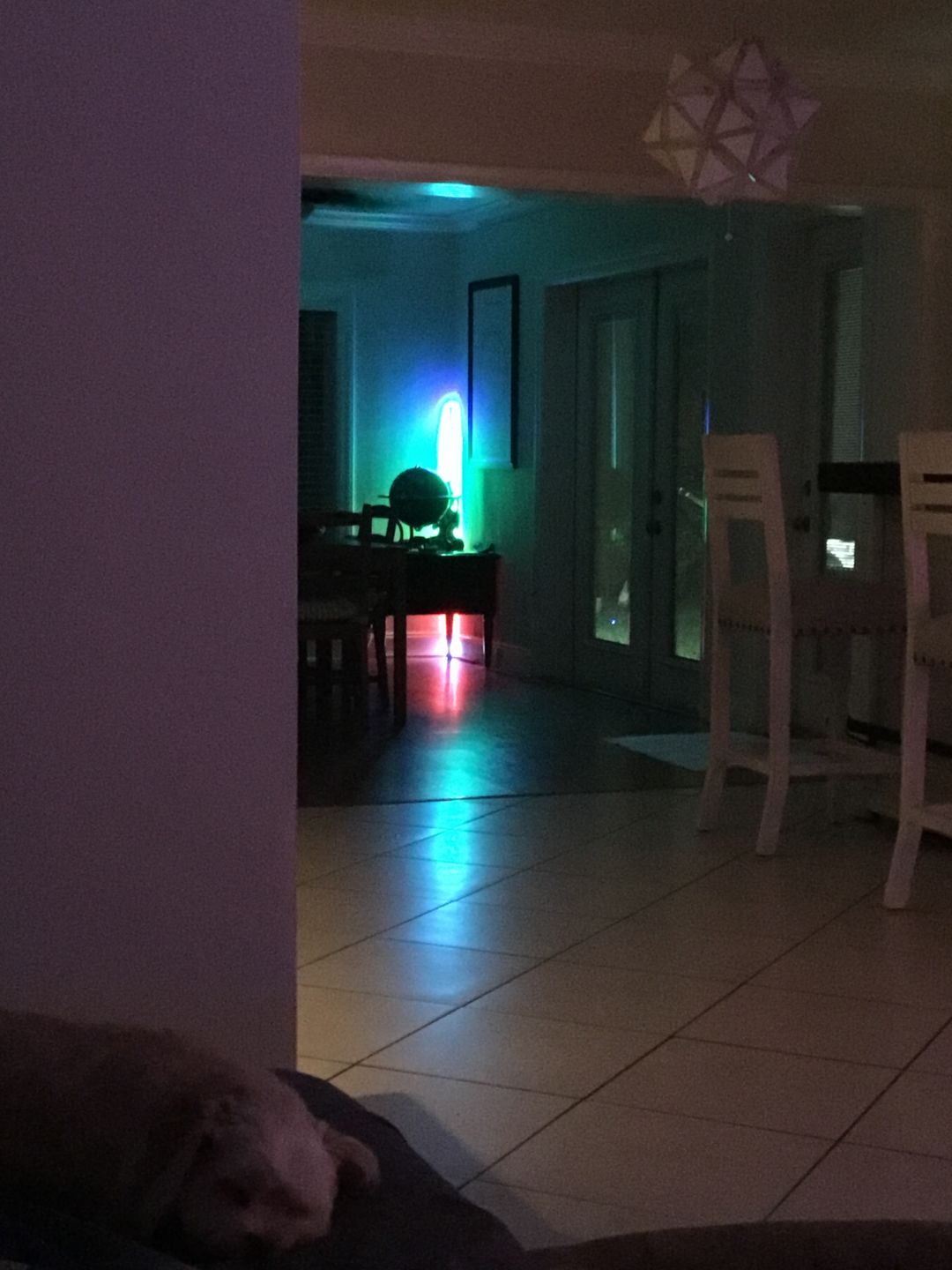 Customer photo review of LED Color Changing Light — LitLamp™