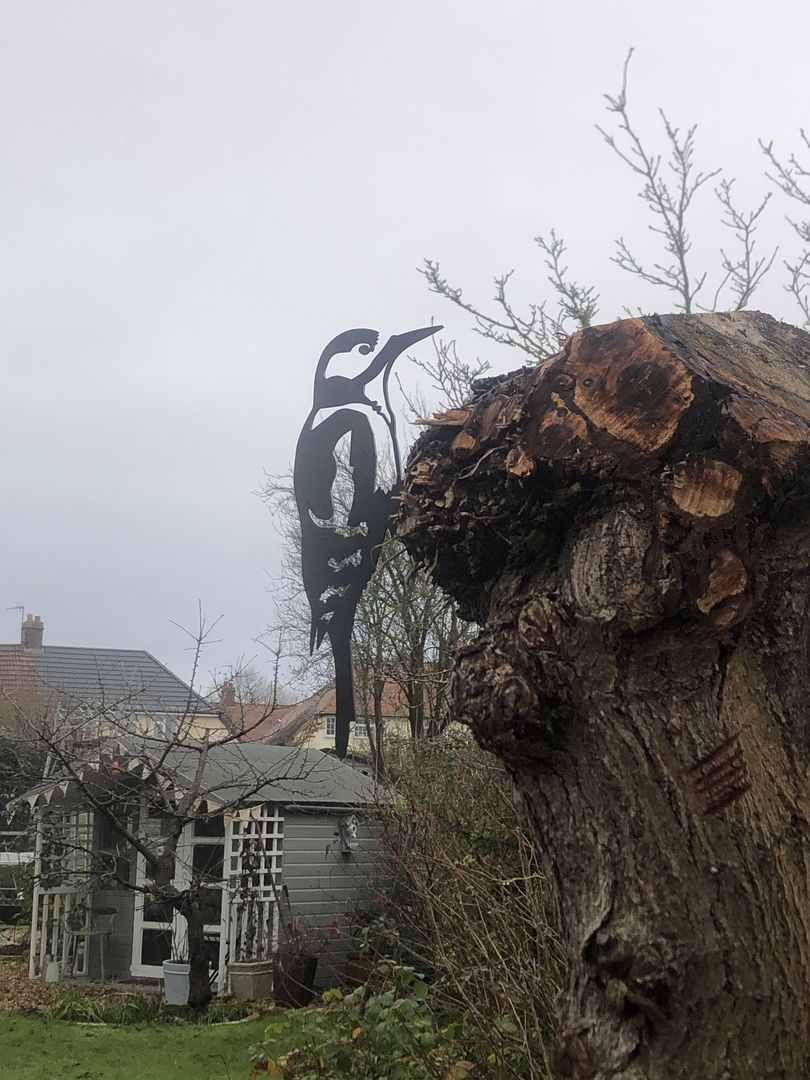 Customer photo review of Great Spotted Woodpecker