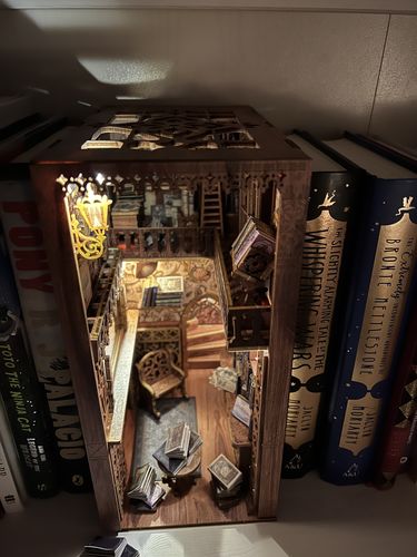 Customer photo review of Eternal Bookstore Book Nook | Anavrin