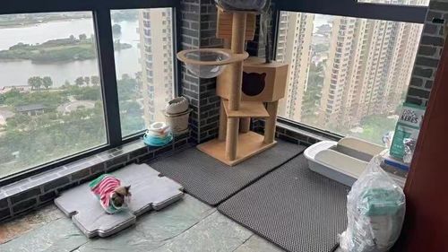 Customer photo review of Cat Litter Mat