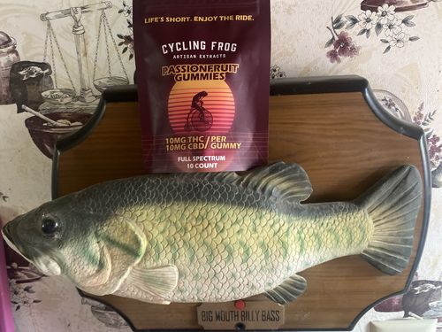 Customer photo review of Gummy Giveaway - Passionfruit Gummies, 10mg THC + 10mg CBD