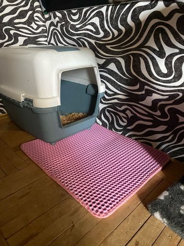 Customer photo review of Cat Litter Mat