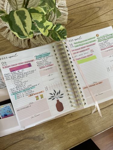 Customer photo review of 2023 Planner + Leather Cover Bundle BLUSH (Signature, Daily + Classic)