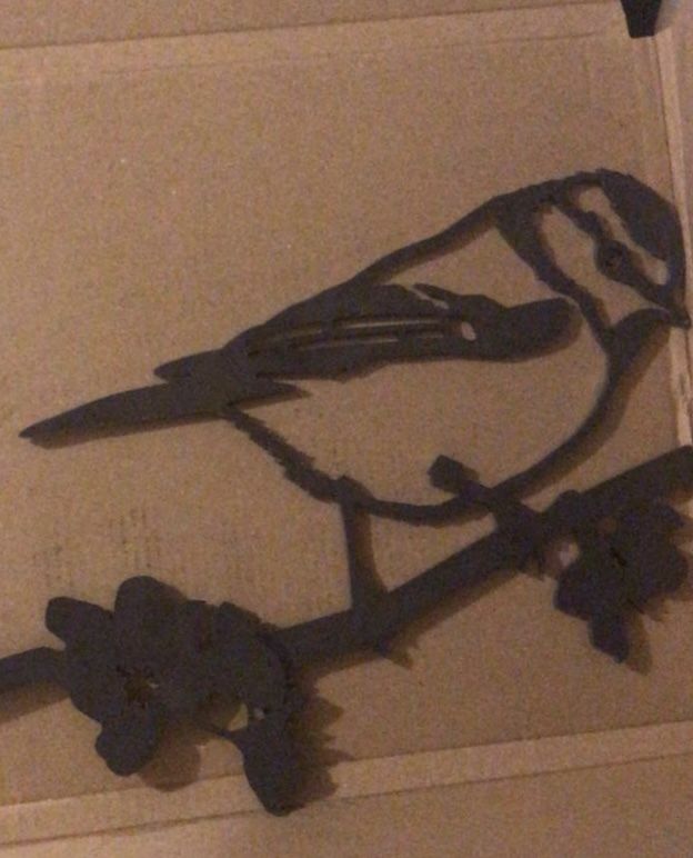 Customer photo review of Blue Tit