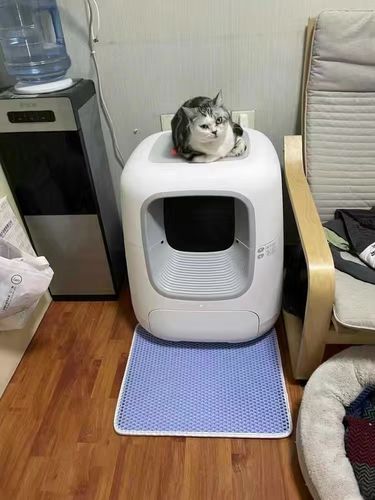 Customer photo review of Cat Litter Mat