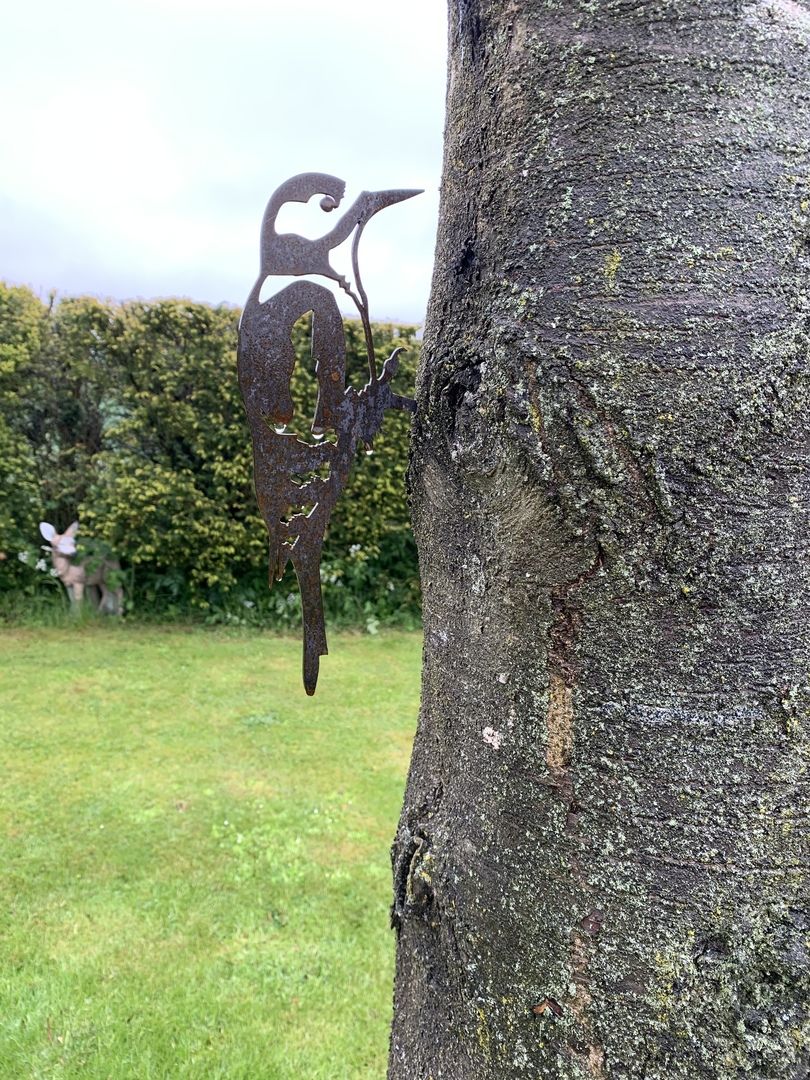 Customer photo review of Great Spotted Woodpecker