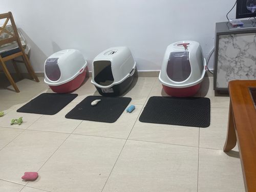 Customer photo review of Cat Litter Mat