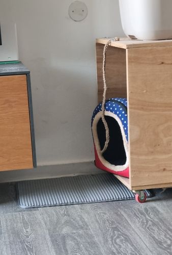 Customer photo review of Cat Litter Mat