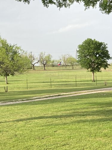 Customer photo review of 4x6ft  Texas Flag (Popular Size)