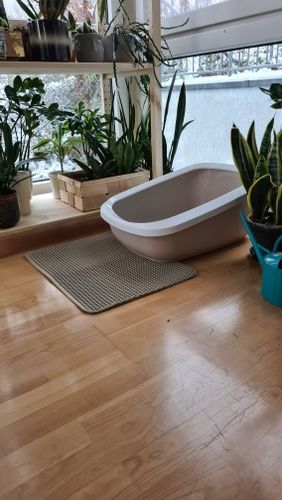 Customer photo review of Cat Litter Mat