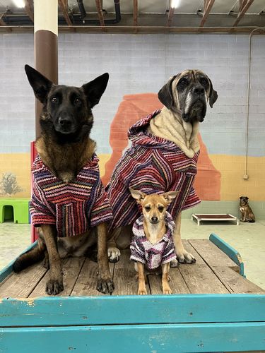 Customer photo review of Playa Poncho - Surprise Color